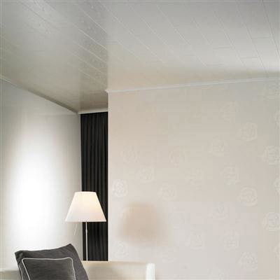 HDM Avanti Kristal Wit - wand en plafond - 2600x167x10 mm