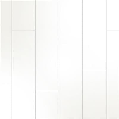 HDM Avanti exlusive superwit glans - wand en plafond - wit - 2600x250x10 mm