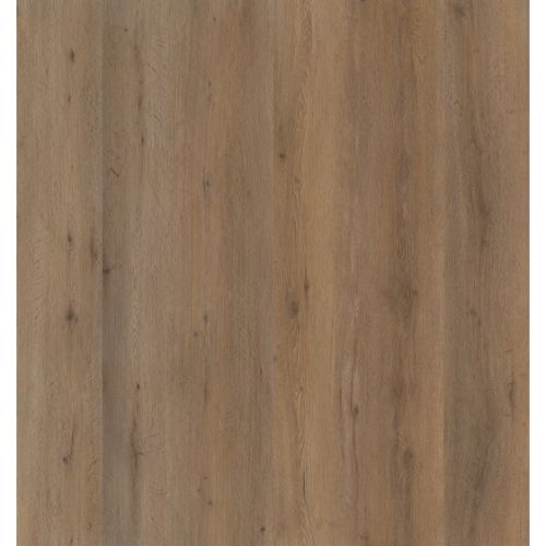 Ambiant Vivero dryback Smoky