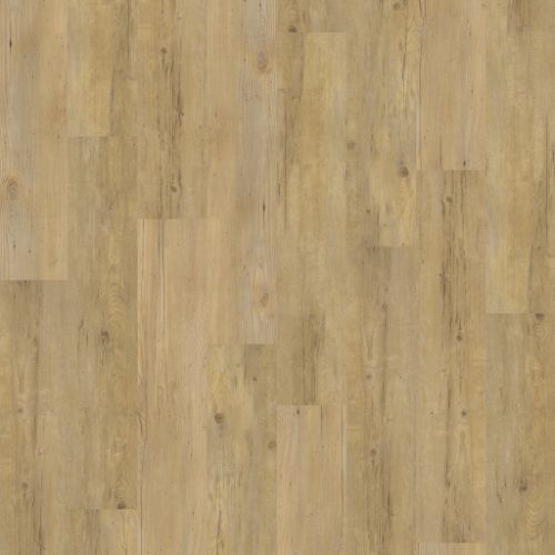 Ambiant Excellent Natural 95115