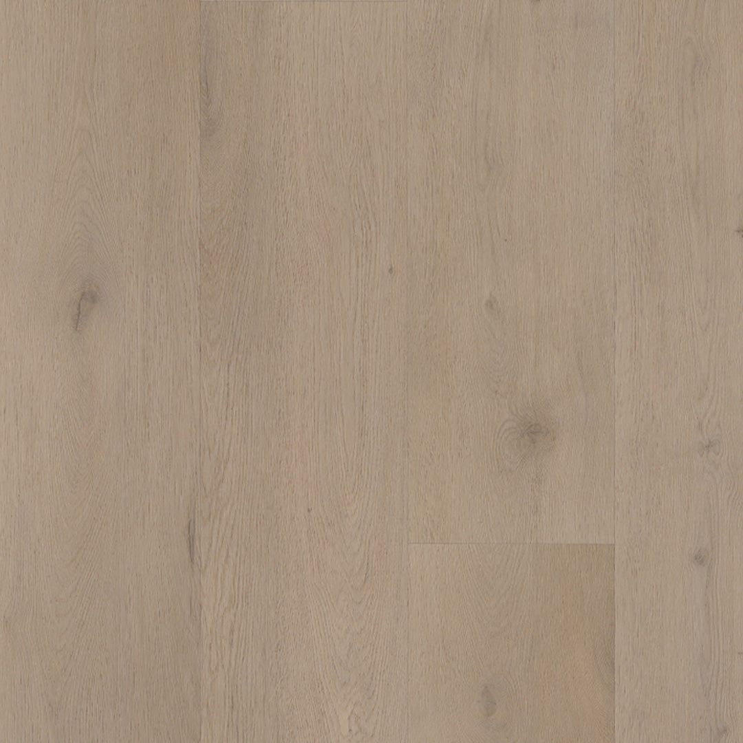 Belakos Attico 830 | Rigid Click