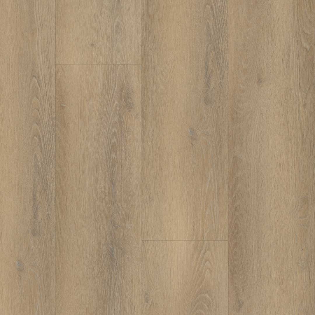 Belakos Palazzo 760 | Rigid Click