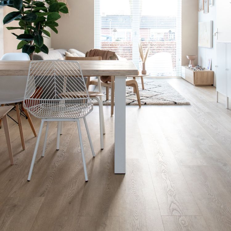 Belakos Palazzo 720 | Rigid Click