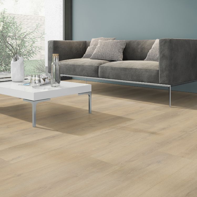 Belakos Palazzo 720 | Rigid Click