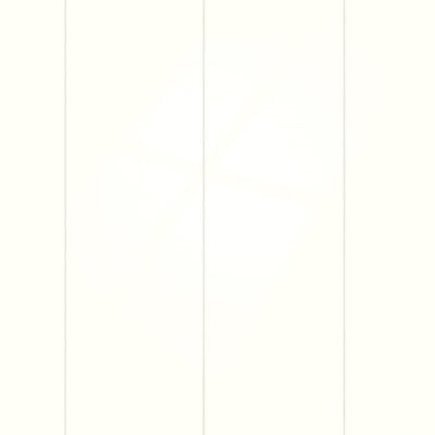 HDM Microvelling Roomwit Hoogglans - wand en plafond - 2600x250x10 mm