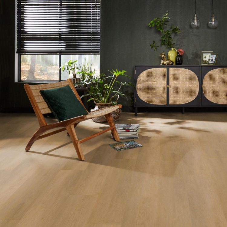 Ambiant Sentima Dryback Dark Oak