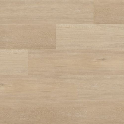 Therdex Chevron XL C12042