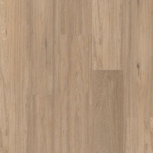 Therdex Regular C3020