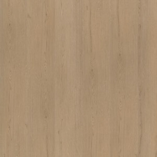 A4 Staal - Ambiant Venera Dryback Natural Oak | Lijm