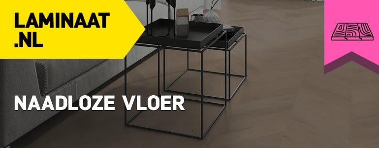 naadloze vloer
