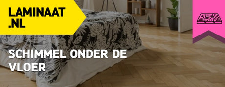 schimmel onder de vloer