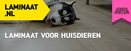 Laminaat voor huisdieren