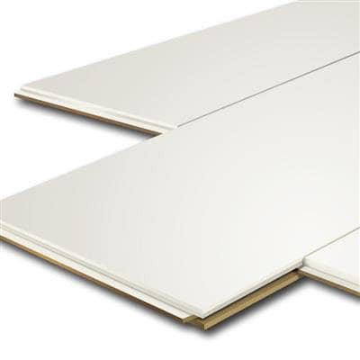 A4 Staal - HDM Avanti Pro12 Lily White - wand en plafond - 2600x290x12 mm