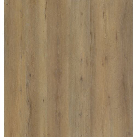 A4 Staal - Ambiant Vivero dryback Dark Oak | Lijm