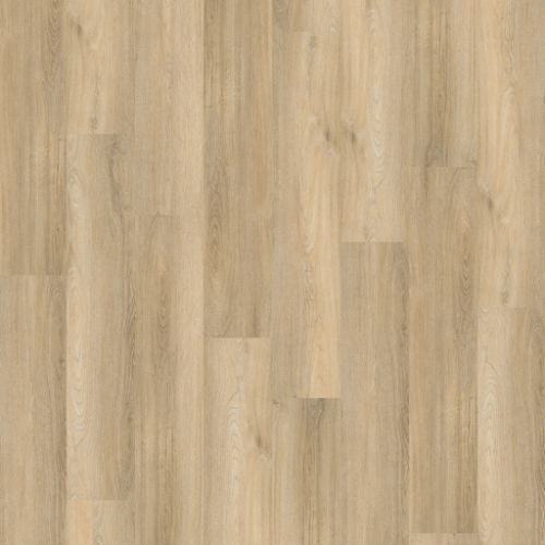 Ambiant Avanto Beige 4504