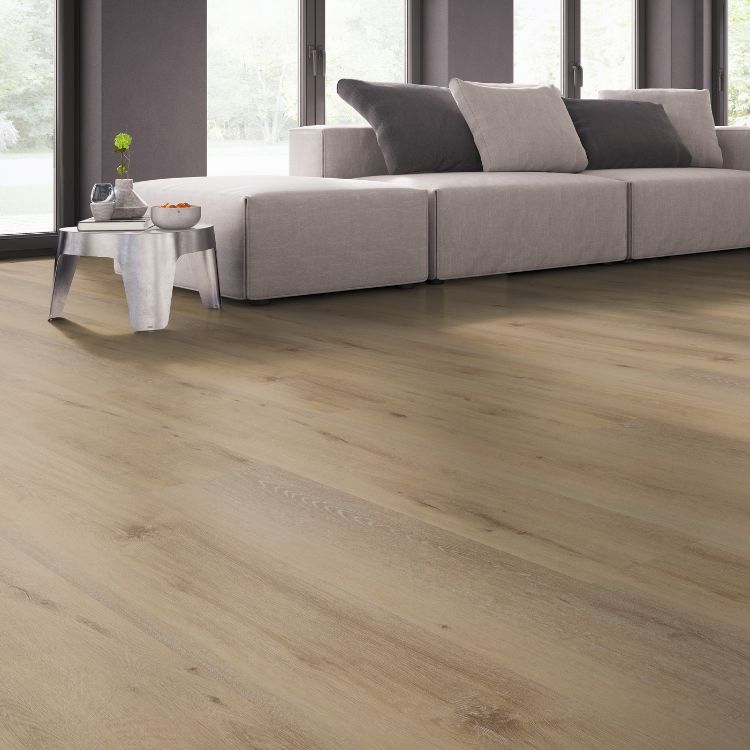 Belakos Attico 800