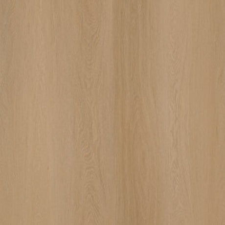 A4 Staal - Ambiant Estino Dryback Dark Oak | Lijm