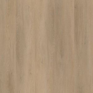 A4 Staal - Ambiant Sentima Dryback Beige | Lijm