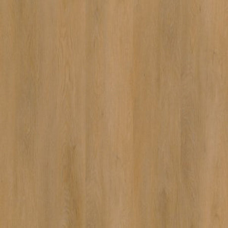 A4 Staal - Ambiant Sentima Dryback Dark Oak | Lijm