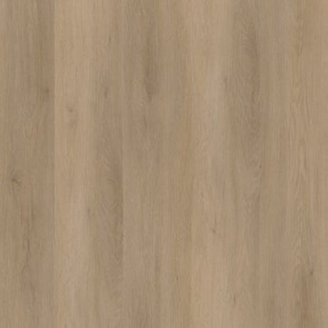 A4 Staal - Ambiant Sentima Dryback Natural Oak | Lijm