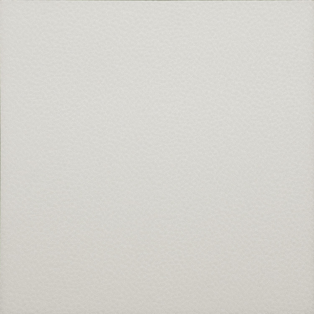 Topview van TFD Touch Leather LZ01 vloer in wit lmet een leren patroon