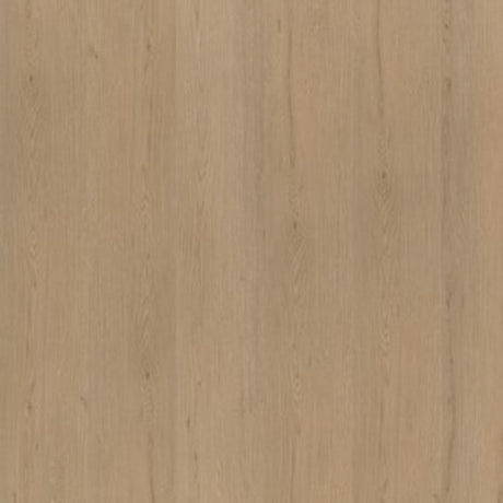 A4 Staal - Ambiant Venera Dryback Natural Oak | Lijm