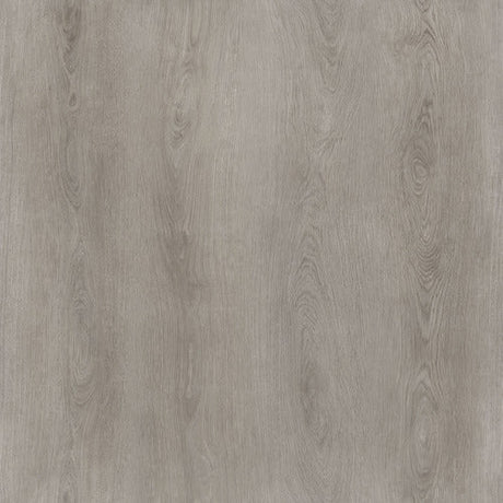 Calitex Wood - Bosland - PVC klik